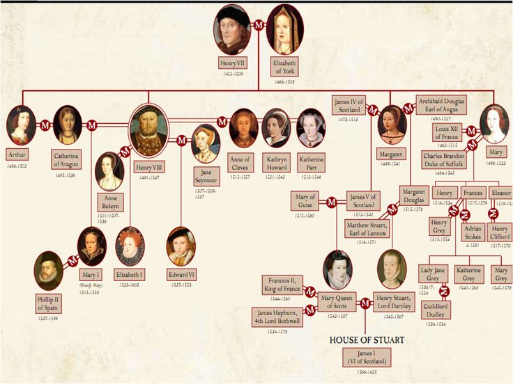 Queen Elizabeth Ii Family Tree 2 Hd Wallpaper Hot Celebrities Wallpapers